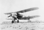 Avro 530 in 1917 